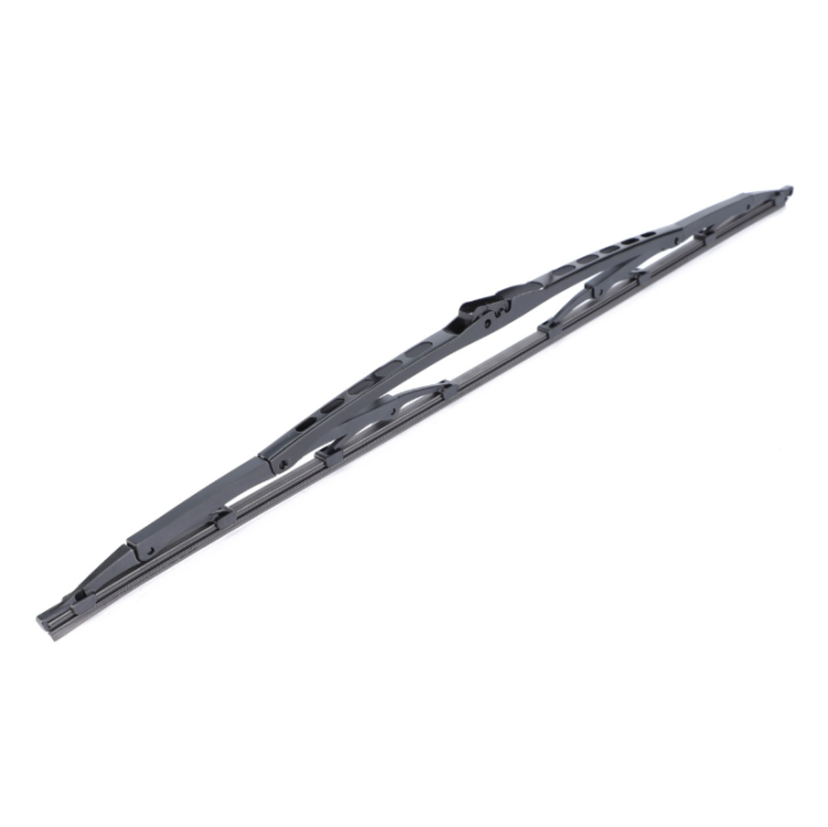 ACV0056060